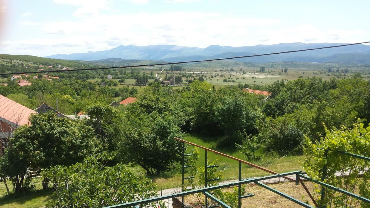 Villa Cetina - Apartment With A View Milasi Exterior foto