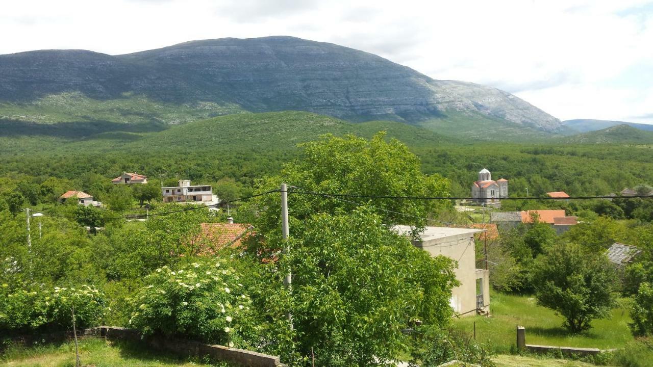 Villa Cetina - Apartment With A View Milasi Exterior foto
