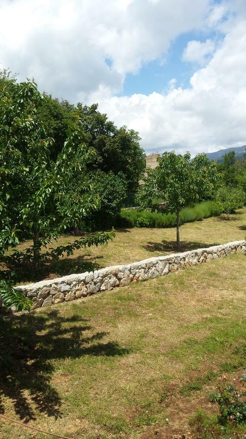 Villa Cetina - Apartment With A View Milasi Exterior foto
