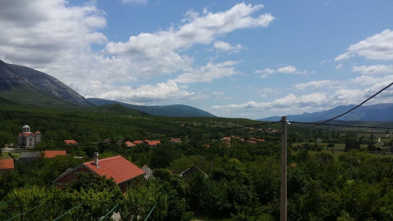 Villa Cetina - Apartment With A View Milasi Exterior foto