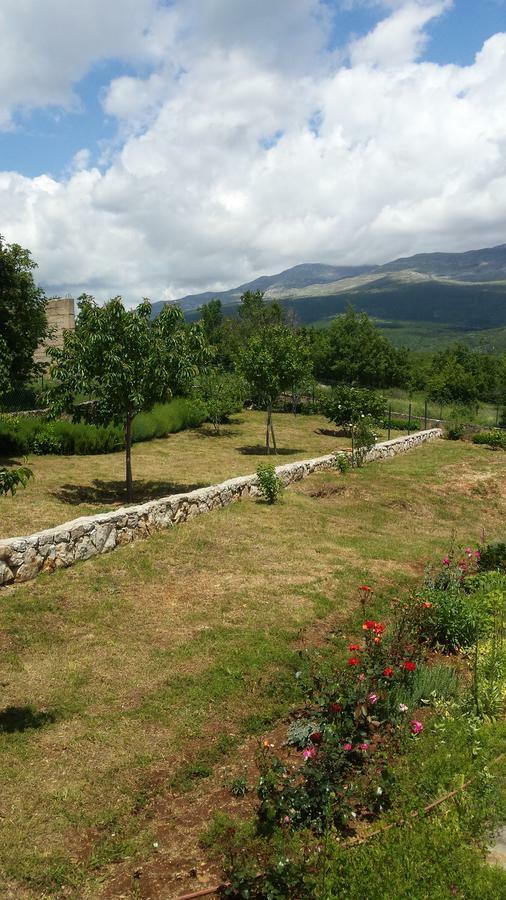 Villa Cetina - Apartment With A View Milasi Exterior foto
