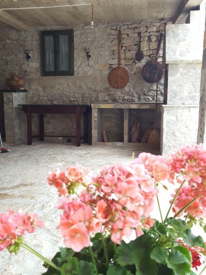 Villa Cetina - Apartment With A View Milasi Exterior foto