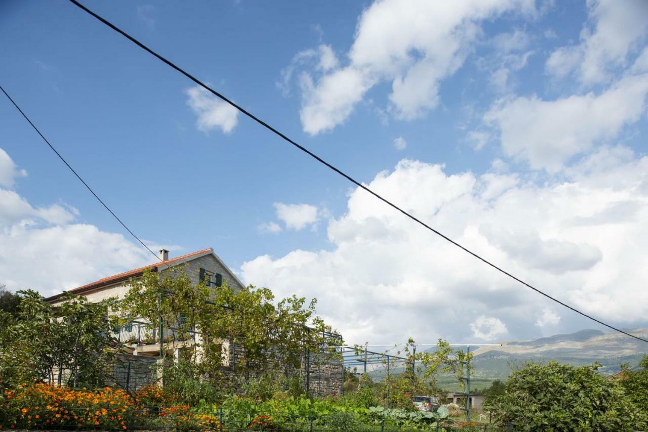 Villa Cetina - Apartment With A View Milasi Exterior foto