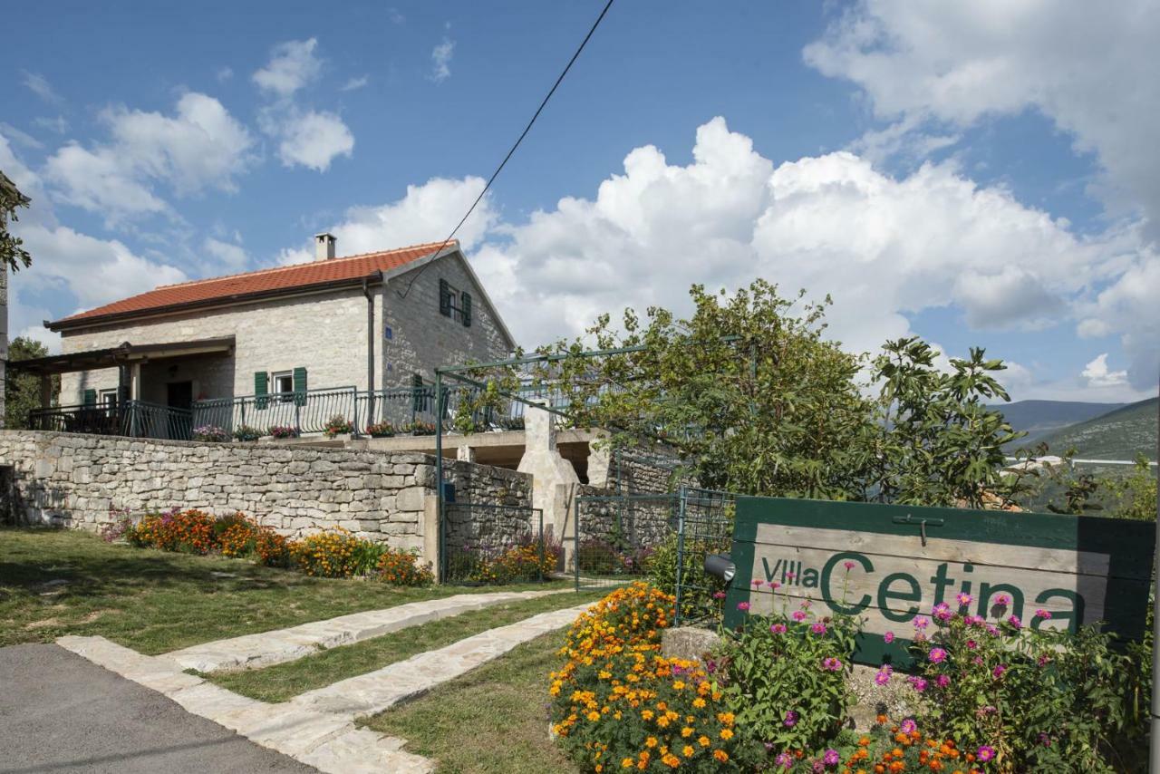 Villa Cetina - Apartment With A View Milasi Exterior foto